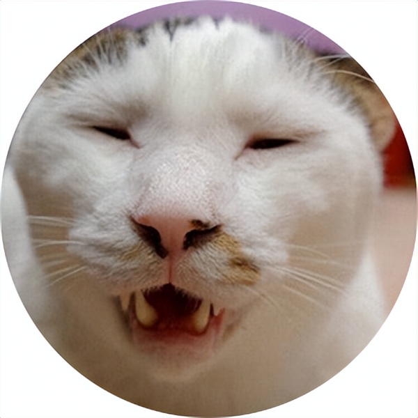 忍不住很想买一件东西,这辈子必买的一块表