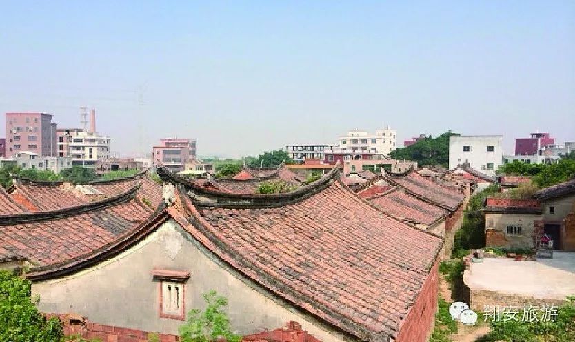 岛外马巷这匹老马,何时才能快速起跑