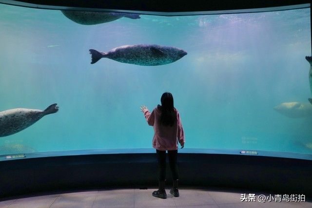 欢迎外地朋友来青岛旅游,外地人去青岛旅游一定要去的地方