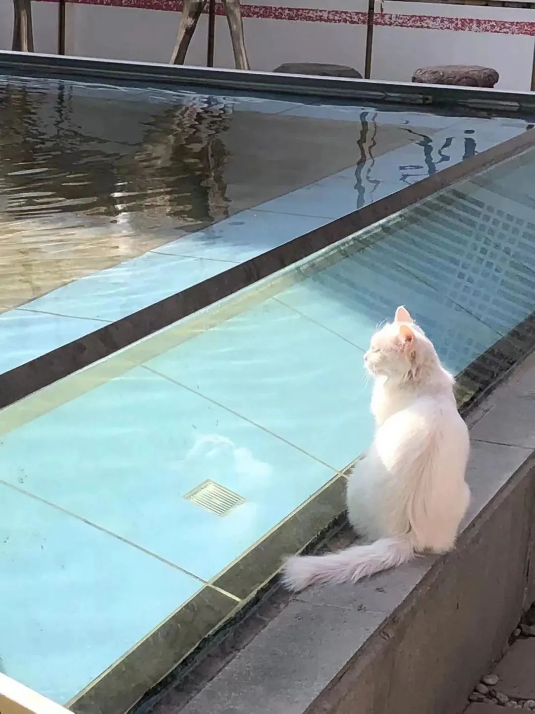 赵明明：上班摸鱼，是我的梦想!