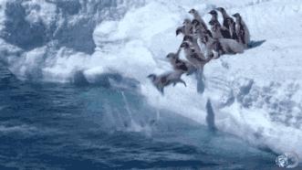 2023金融公司年终总结,金融行业年终总结封面