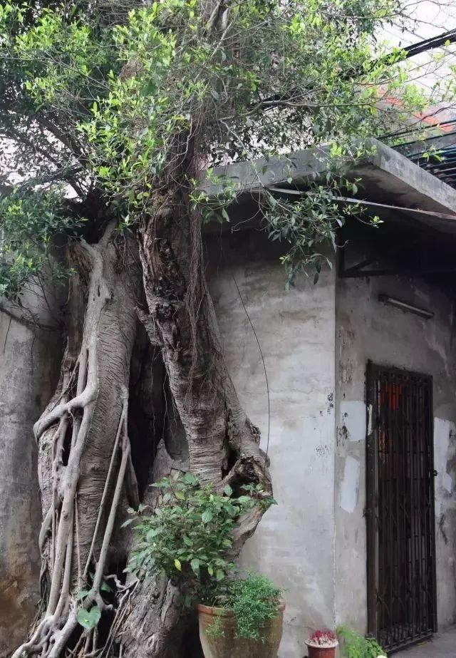 傅氏在广东,傅氏祖先起源地在哪个省