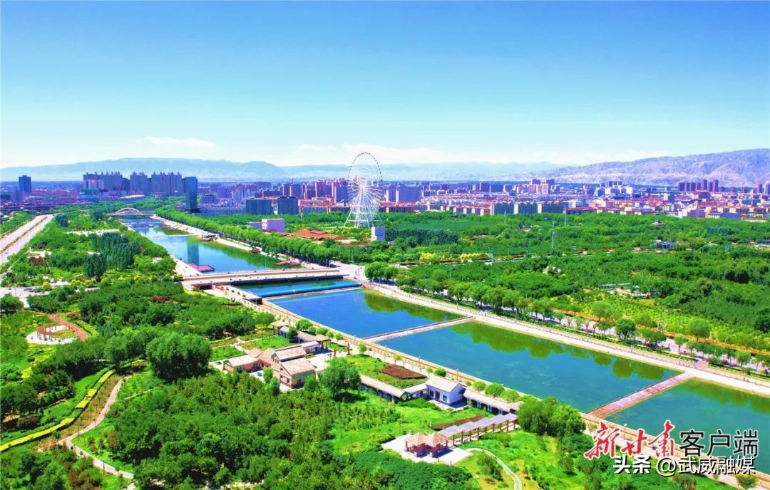 重要通告速看视频,重要通知速看全文