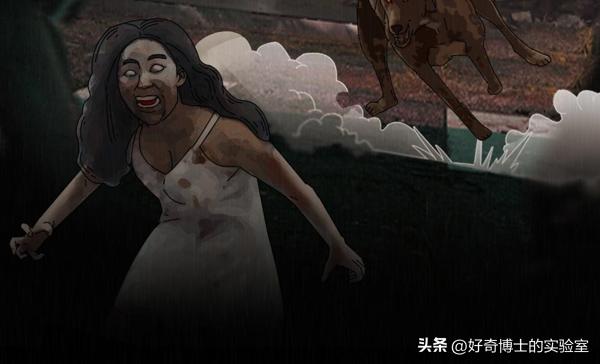 如果丧尸病毒爆发人类还能活多久,如果丧尸爆发人类能活多久