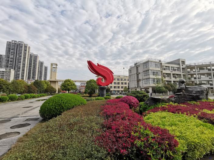 黄陂市新洲一中怎么样,武汉新洲一中与黄陂一中哪家强