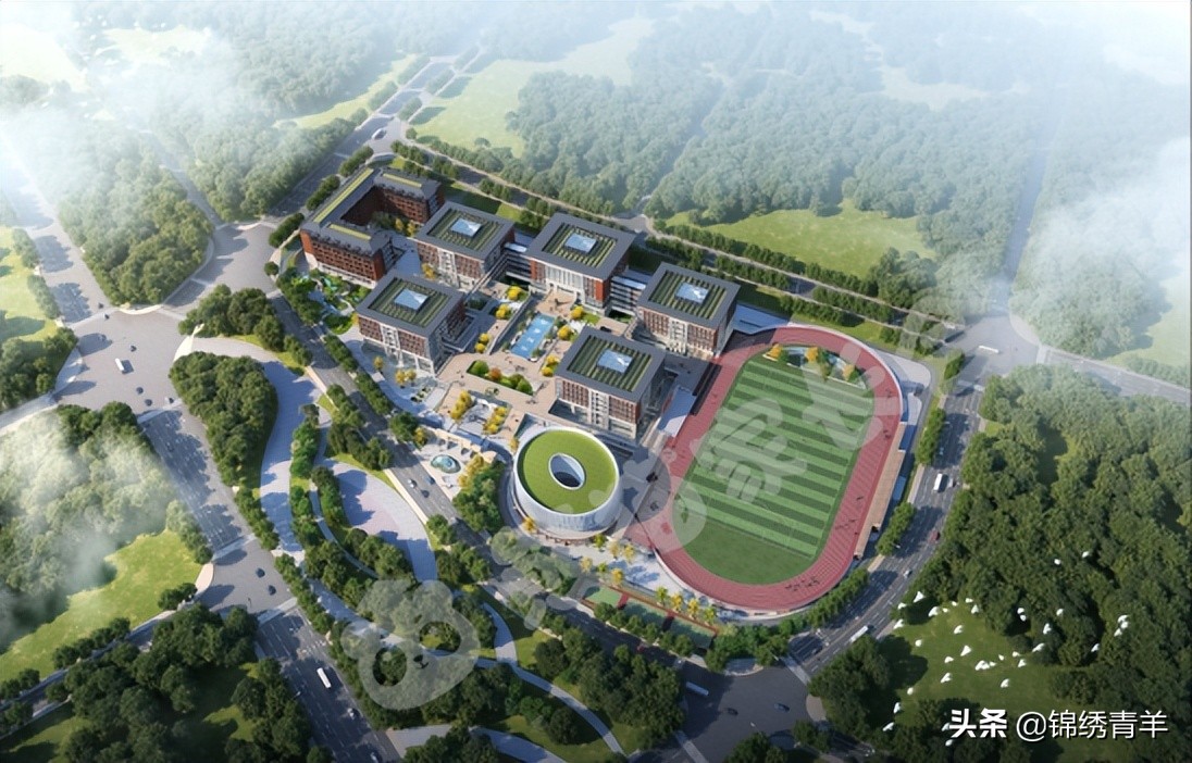 树德协进中学与树德关系,树德协进中学基地班如何