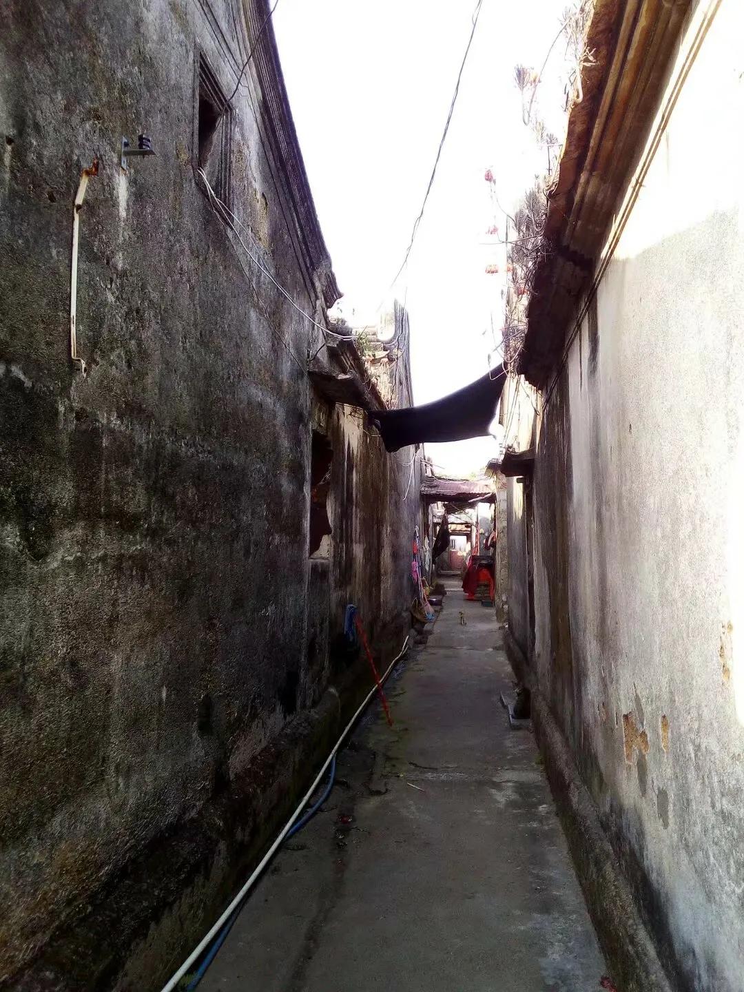 梦到底是什么最合理的解释,梦到底是什么图片