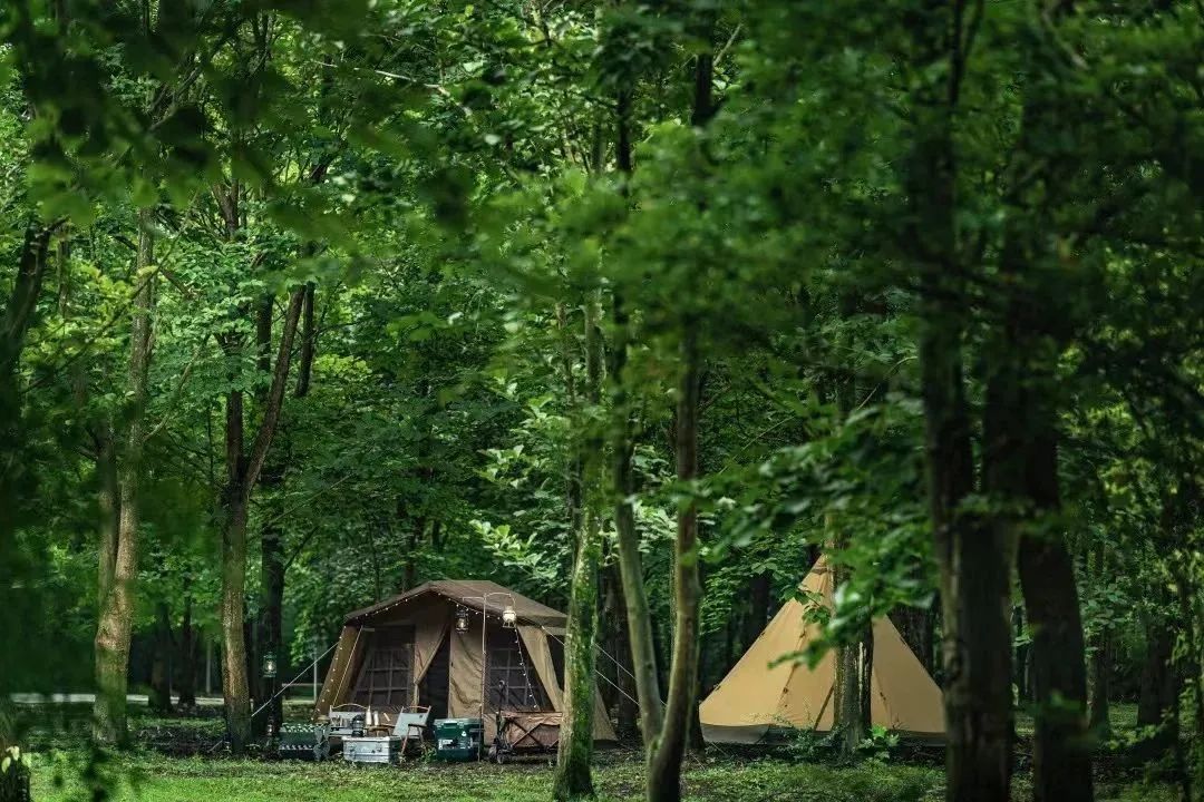 合作共赢！日光域百村振兴计划成渝首发第一村——新津九莲·慵也谷项目招商启动