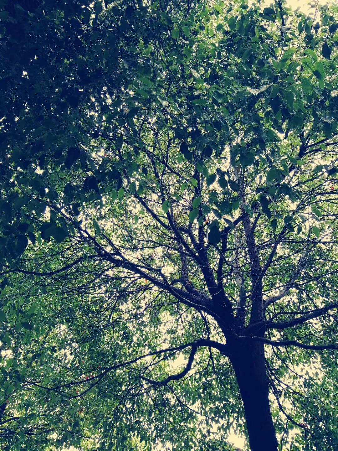 情感语录生活感悟女声,情感语录生活就是自己哄自己