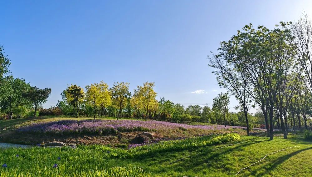 南苑森林湿地公园预约,南苑森林湿地公园抖音团购