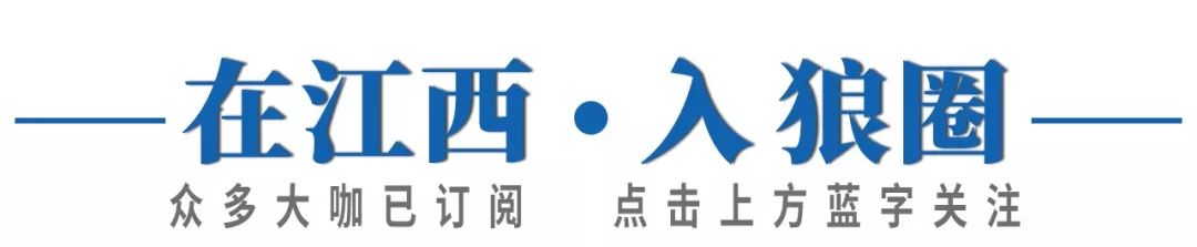 五粮春新品哪一款最好,五粮春新款上市