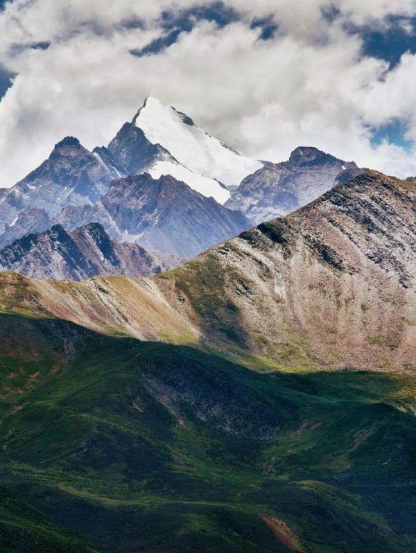 微生物菌群最新研究进展,一号菌群科研新成果