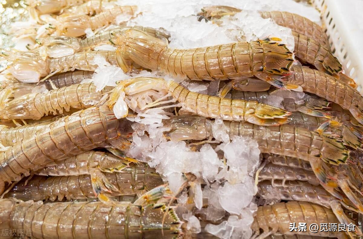 皮皮虾什么季节肉多,皮皮虾是不是皮多肉少