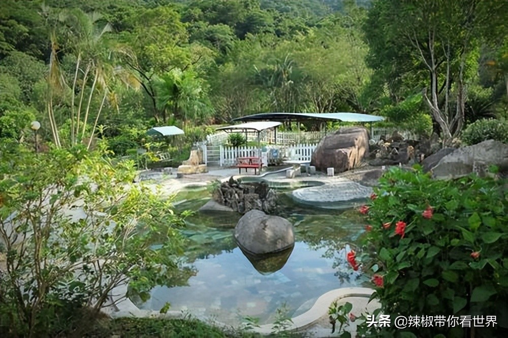 海岸线：邂逅*江阳**——感受这座慢节奏小城文化底蕴感悟人文之美