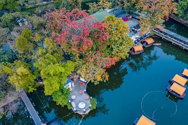 雄狮少年年度最大黑马,雄狮少年咸鱼强上阵