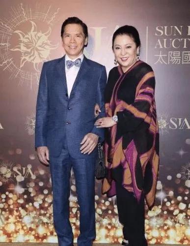 向太陈岚杭州豪宅内景,向太陈岚在杭州的房子