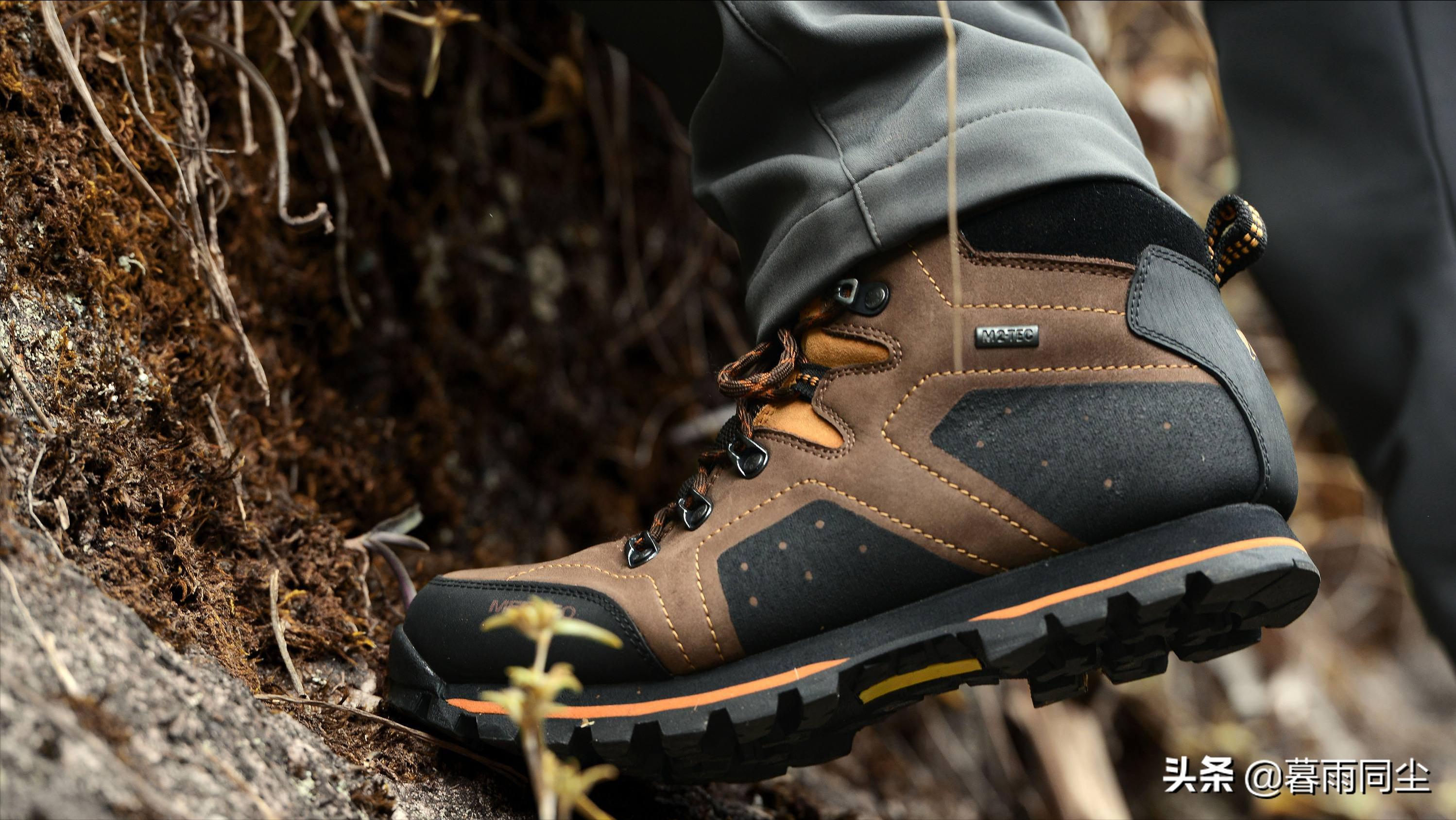 野外旅游怎么防蛇咬伤别人,野外防被蛇咬带什么药可保命