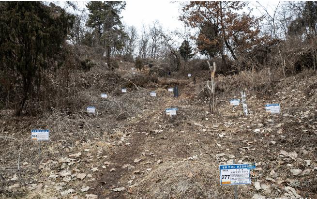 韩国女孩的心酸史,韩国古代女子的悲惨人生
