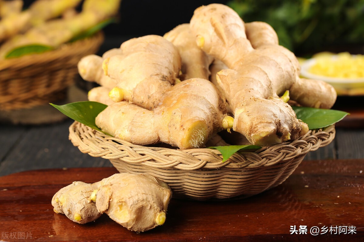 葱姜蒜如何保存时间长,家庭葱姜蒜最佳保存方法