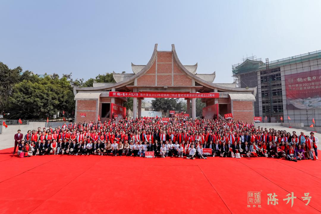 春茶产品营销策略分析,春茶营销
