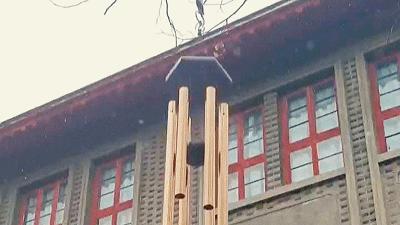 浙江师范大学|传说中的“吃饭”大学？成为世界排名里的黑马