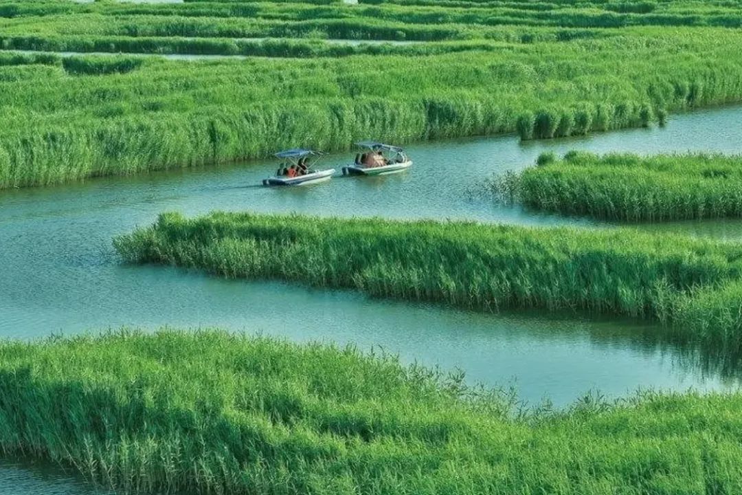 这个生活很慢,美食“泛滥”的小城藏不住了