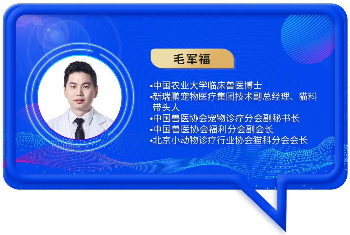 宠物营养研究现状及发展前景,宠物营养研究与发展