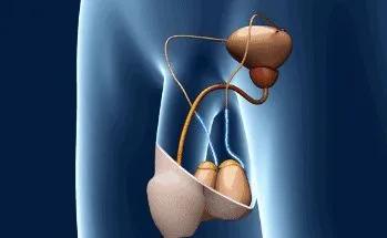 没有避孕的情况下怎么避孕,没有避孕如何防止不孕