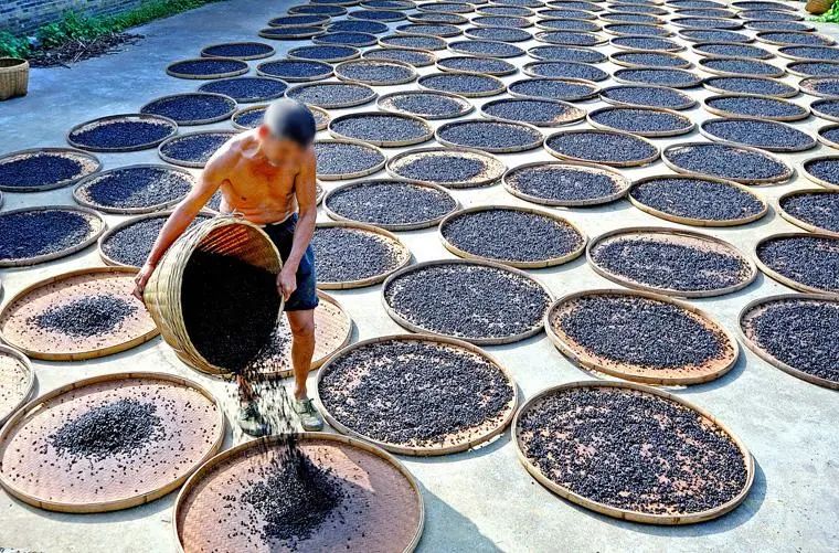 中国最美冷门旅游海岸,中国最美小众海岸线