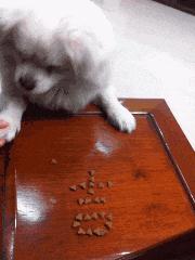 好不容易把钱还完了,好不容易把债还完了