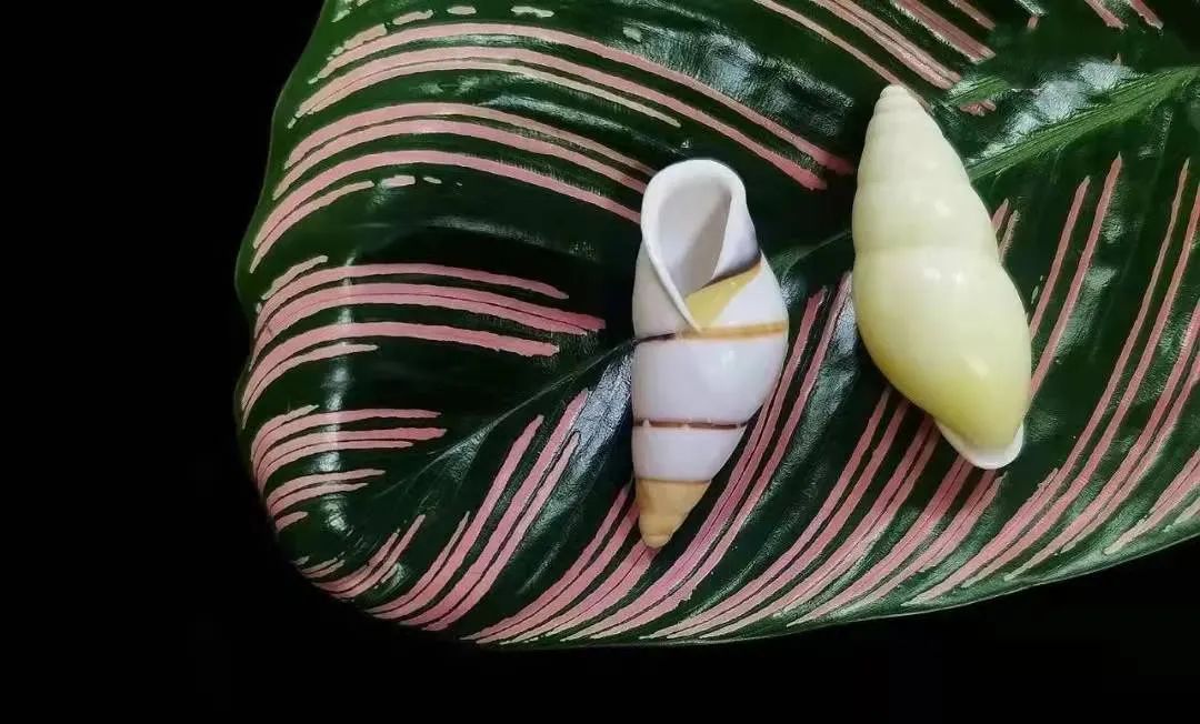 推门就是半个大唐！青岛这场大秀也太好看吧！