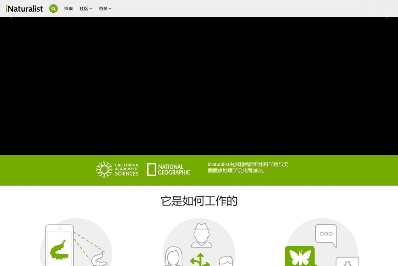 识别花草扫一扫的app,识别花草扫一扫软件下载