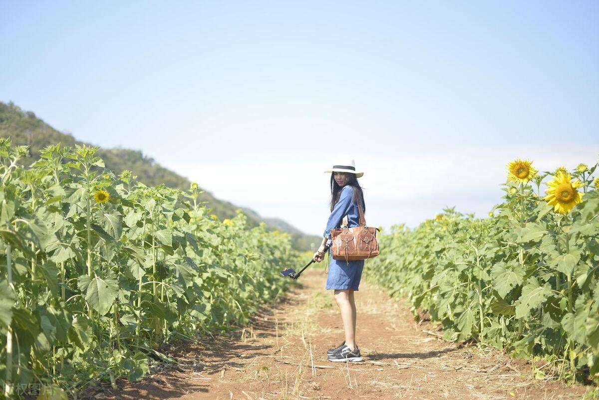 悟透人生的句子透彻经典句句入心,通透走心的人生感悟句子简短