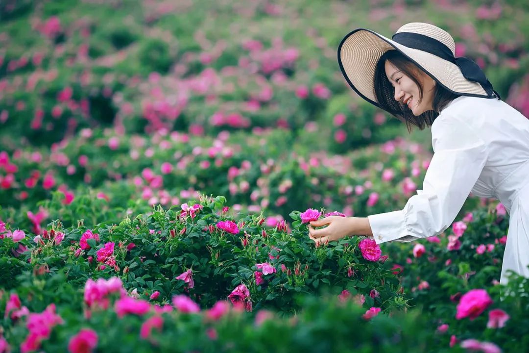 5·19幸福旅程从保山开始丨五一游腾冲,绝美栖花岭:天空之伞+千亩花海+粉色沙滩+福利