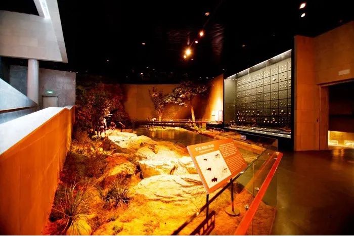 暑期带娃逛地质博物馆的日记,带孩子们探秘火星