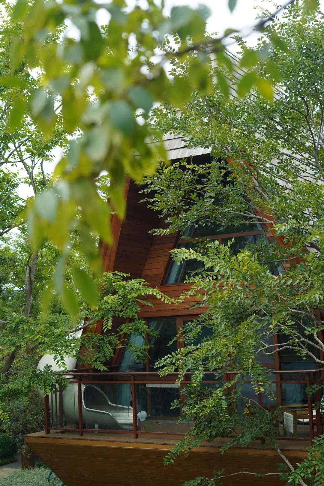 小精灵同款树屋绝了!遛娃的秘密基地,诗境家园里的度假圣地