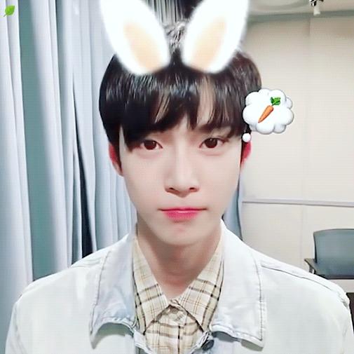 韩国明星秀智是什么脸型,秀智是韩国明星吗