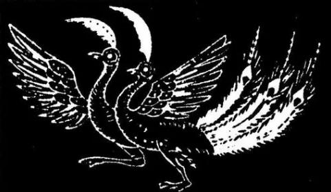 丹凤眼是什么动物的眼睛,丹凤眼是怎么样的图片