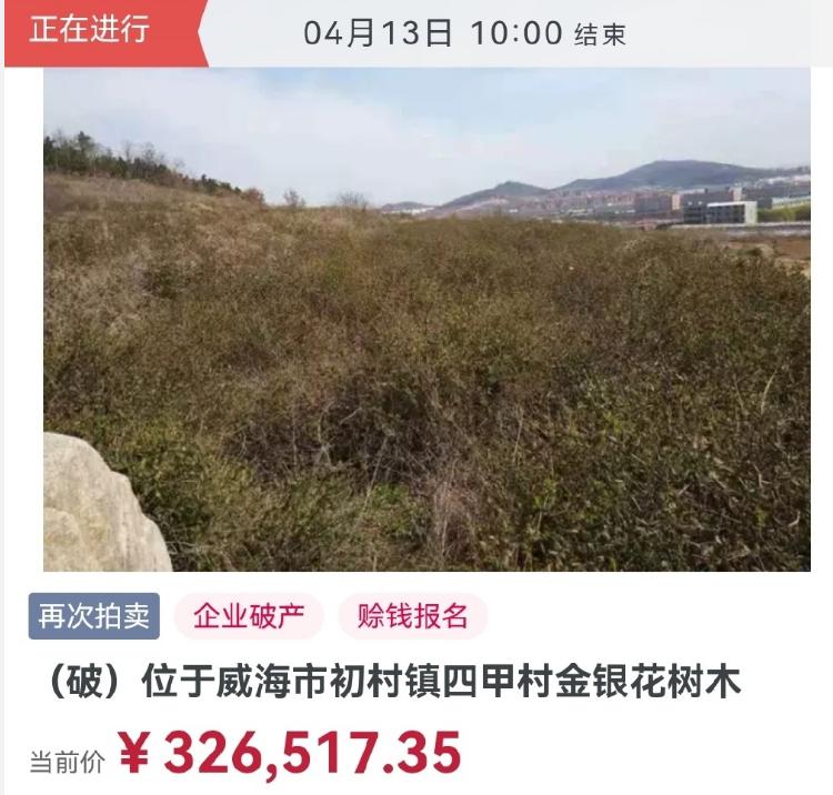 如何在闲鱼正确的捡漏,在闲鱼如何捡漏不被骗