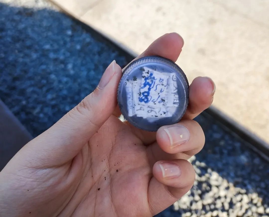 现实中的塞尔达场景,现实版的塞尔达