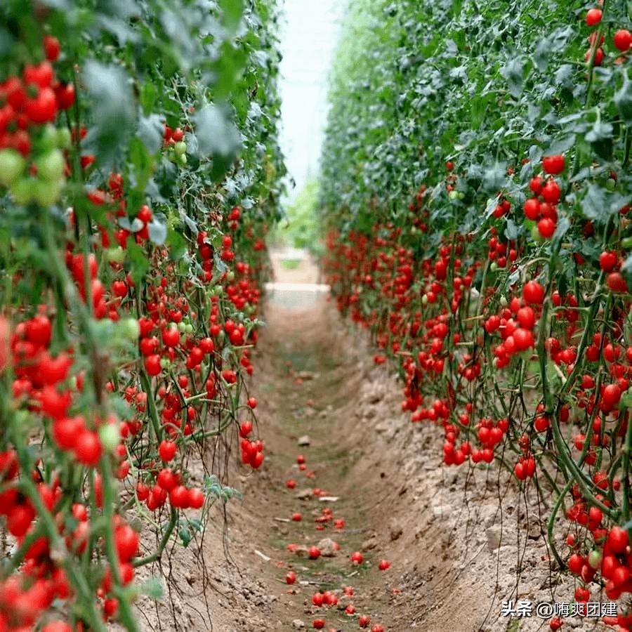 幼儿园教职工三八妇女节团建方案,派出所三八妇女节团建活动方案