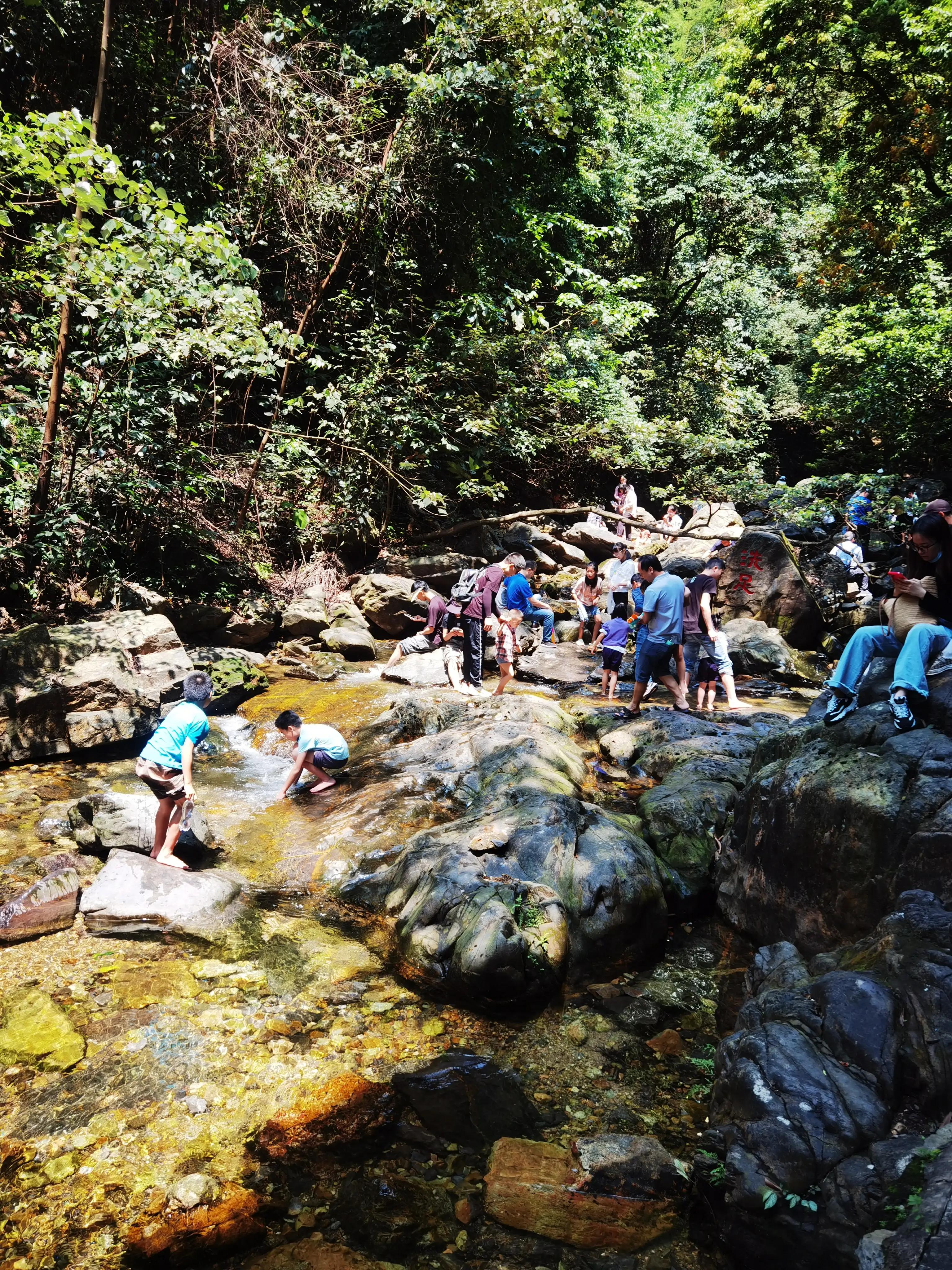 五一推荐去鼎湖山吗,鼎湖五一游攻略