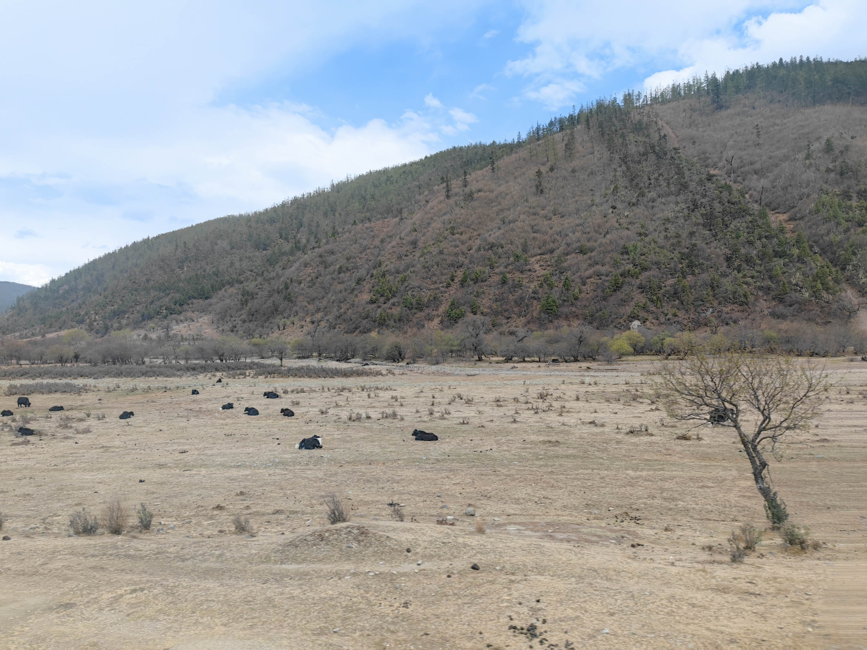 去云南跟团一日游攻略图片大全集,云南六日游跟团路线攻略大全