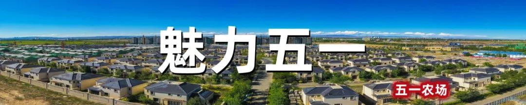 农场人居环境整治助推乡村振兴,农场党建工作