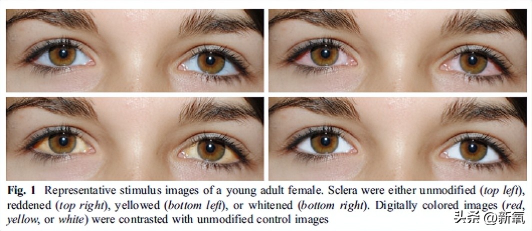 眼睛怎么才能变成星星眼,怎么让眼睛变星星眼