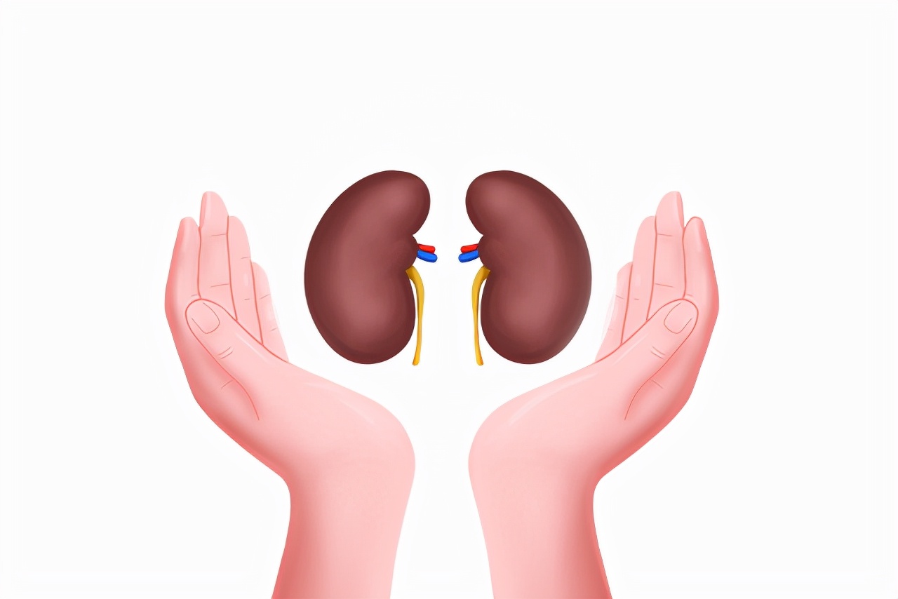 检查出尿蛋白“+”号，是得了肾病吗？常吃2物，或帮你降低尿蛋白