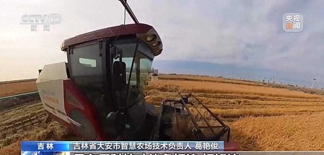 庄稼丰收但无人收割,庄稼丰收但无人收割来自什么俗话