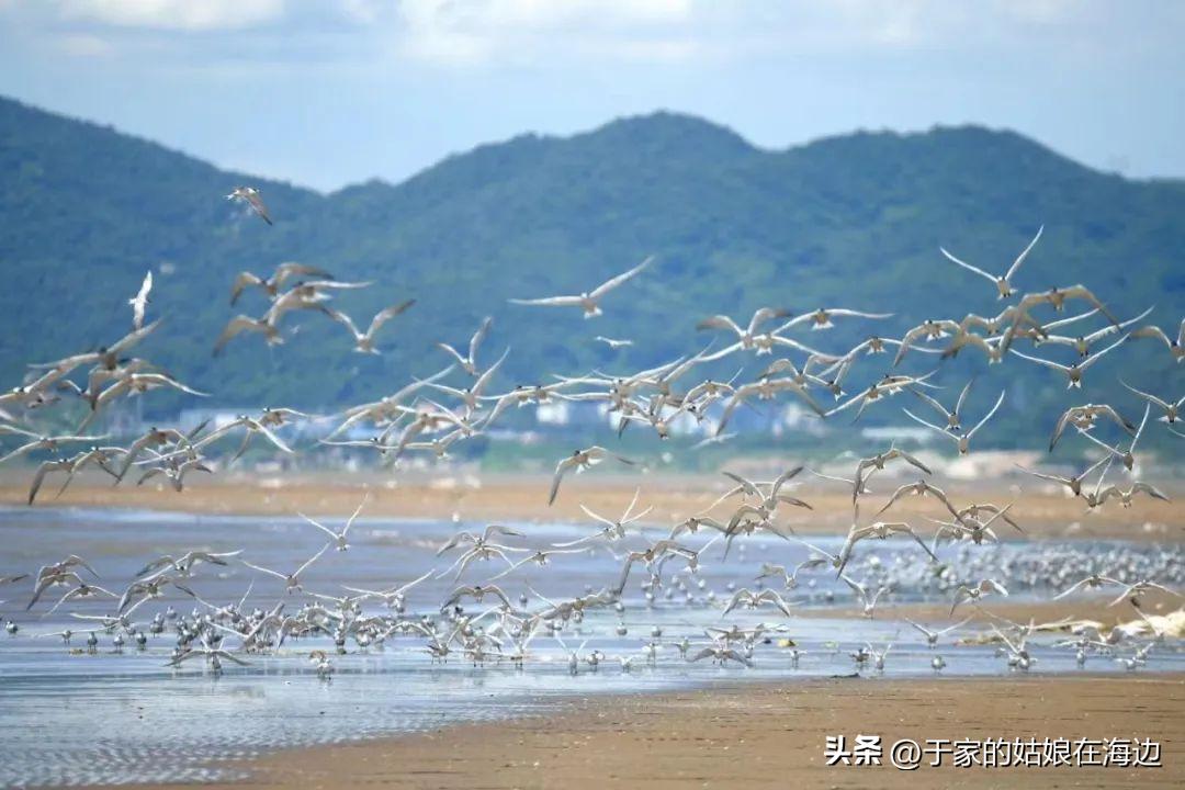 珠海沙滩一日游沙滩推荐,珠海适合下午去的沙滩