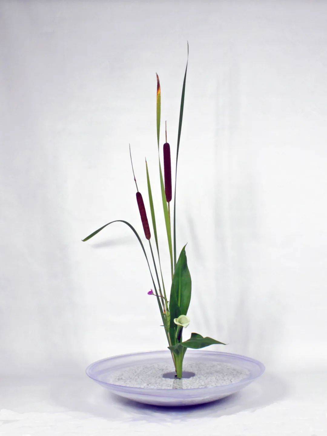 日式插花小原流花道,日式插花的13个基本技巧