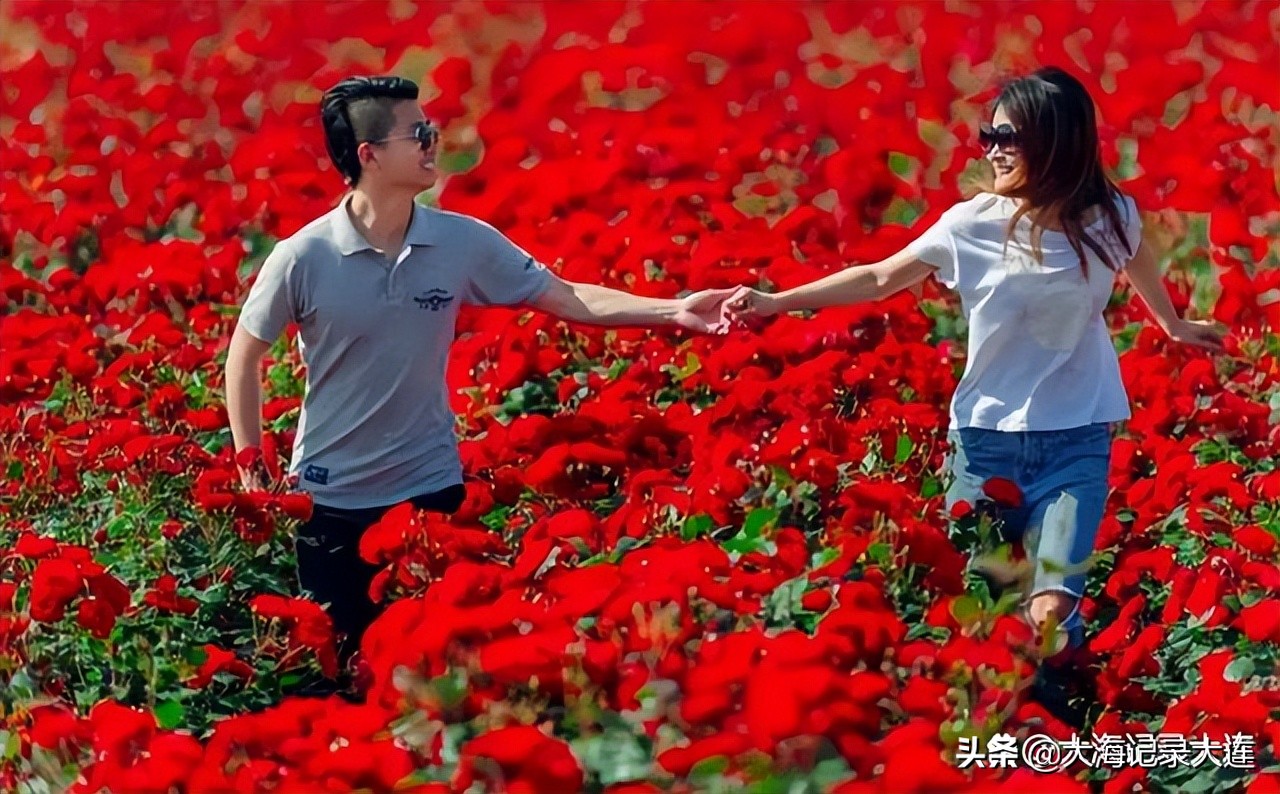 大连暑假旅游景点,暑假大连旅游景点攻略大全